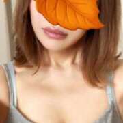 ヒメ日記 2025/11/15 13:28 投稿 けいこ 進撃の妻