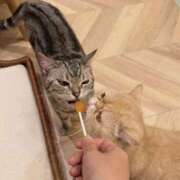 ヒメ日記 2025/10/08 14:38 投稿 りあ 福岡ちゃんこ大牟田店