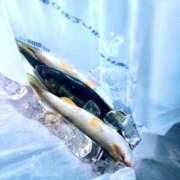 ヒメ日記 2025/10/09 16:12 投稿 ちゃちゃ りんくう泉佐野ちゃんこ