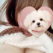 ヒメ日記 2025/10/14 00:12 投稿 ちゃちゃ りんくう泉佐野ちゃんこ