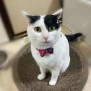 ヒメ日記 2025/11/20 09:42 投稿 ちゃちゃ りんくう泉佐野ちゃんこ