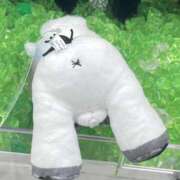 ヒメ日記 2025/11/29 00:22 投稿 ちゃちゃ りんくう泉佐野ちゃんこ