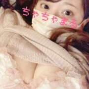 ちゃちゃ マイブーム りんくう泉佐野ちゃんこ