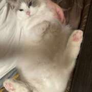 ヒメ日記 2025/12/18 23:32 投稿 ちゃちゃ りんくう泉佐野ちゃんこ