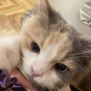 ヒメ日記 2026/02/19 23:22 投稿 ちゃちゃ りんくう泉佐野ちゃんこ