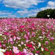 ヒメ日記 2025/12/07 18:30 投稿 ゆう『Hカップ』 ぽよぽよランド