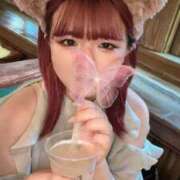 ヒメ日記 2025/09/13 05:10 投稿 渡辺おとは 渋谷ガーデン