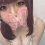 ヒメ日記 2025/10/03 23:18 投稿 渡辺おとは 渋谷ガーデン