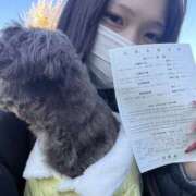 ヒメ日記 2026/01/07 07:42 投稿 にゃん NEW GENERATION