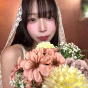 ヒメ日記 2026/03/20 05:36 投稿 にゃん NEW GENERATION