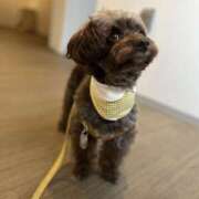 ヒメ日記 2026/03/22 01:36 投稿 にゃん NEW GENERATION