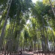 にゃん ろまんちっく村 NEW GENERATION