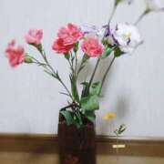 ヒメ日記 2025/09/27 00:23 投稿 森沢 りかこ こあくまな人妻・熟女たち山口店（KOAKUMAグループ）