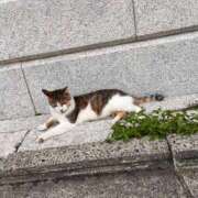 ヒメ日記 2025/10/02 18:29 投稿 こゆき 京都祇園・南インターちゃんこ