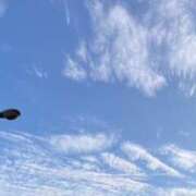 ヒメ日記 2025/10/17 16:29 投稿 こゆき 京都祇園・南インターちゃんこ