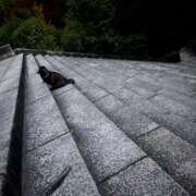 ヒメ日記 2025/11/07 10:41 投稿 こゆき 京都祇園・南インターちゃんこ