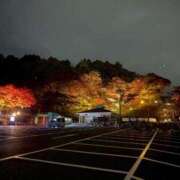 ヒメ日記 2025/11/19 10:09 投稿 こゆき 京都祇園・南インターちゃんこ