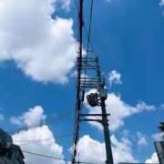 ヒメ日記 2025/11/26 15:25 投稿 こゆき 京都祇園・南インターちゃんこ