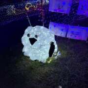 ヒメ日記 2025/12/11 12:36 投稿 こゆき 京都祇園・南インターちゃんこ