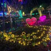 ヒメ日記 2025/12/21 14:22 投稿 こゆき 京都祇園・南インターちゃんこ