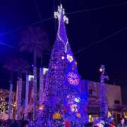 ヒメ日記 2025/12/24 18:19 投稿 こゆき 京都祇園・南インターちゃんこ