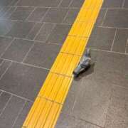 ヒメ日記 2026/02/03 21:57 投稿 こゆき 京都祇園・南インターちゃんこ