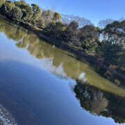 ヒメ日記 2026/01/09 15:10 投稿 ゆり 奥鉄オクテツ東京店（デリヘル市場）