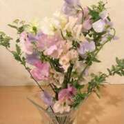 ヒメ日記 2026/01/23 10:25 投稿 ゆり 奥鉄オクテツ東京店（デリヘル市場）