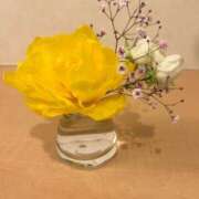 ヒメ日記 2026/03/12 10:15 投稿 ゆり 奥鉄オクテツ東京店（デリヘル市場）