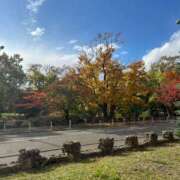 ヒメ日記 2025/10/27 15:48 投稿 音世　ゆうひ プルプル札幌性感エステ はんなり