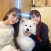 ヒメ日記 2026/02/19 13:33 投稿 あやめ☆ドエロS字美ボディ Hills Premier