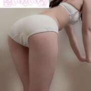 ヒメ日記 2025/11/29 10:45 投稿 えみ 秋葉原ハンドメイド