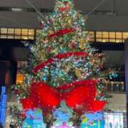 ヒメ日記 2025/12/07 18:22 投稿 さき 清楚