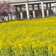 さき 明日楽しみです♪ 清楚