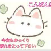 ヒメ日記 2025/09/15 20:35 投稿 みえ 熟女総本店