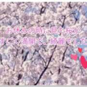 ヒメ日記 2026/04/05 21:12 投稿 みえ 熟女総本店