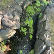 ヒメ日記 2025/10/23 15:48 投稿 桜木　いちか タッチVIP