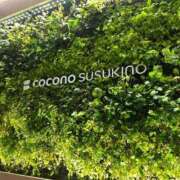 ヒメ日記 2025/12/04 17:33 投稿 桜木　いちか タッチVIP