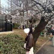 ヒメ日記 2026/04/24 16:33 投稿 あみ 見学娘