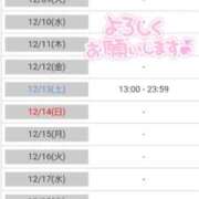 山本りさ 出勤予定? ミセスレディ