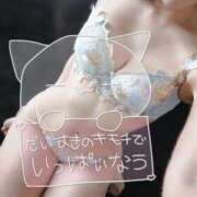 ヒメ日記 2026/02/25 01:16 投稿 山本りさ ミセスレディ