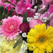 おとは おとはです いちべえ