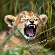 ヒメ日記 2025/11/02 16:30 投稿 ゆうり 奥鉄オクテツ大阪