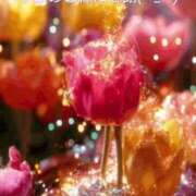 ヒメ日記 2025/09/16 23:48 投稿 速水由香 五十路マダムエクスプレス横浜店（カサブランカグループ）