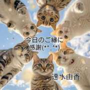 ヒメ日記 2025/09/27 21:36 投稿 速水由香 五十路マダムエクスプレス横浜店（カサブランカグループ）