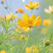 ヒメ日記 2025/10/14 08:08 投稿 速水由香 五十路マダムエクスプレス横浜店（カサブランカグループ）