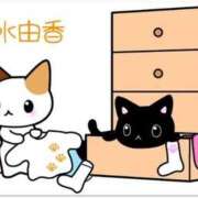 ヒメ日記 2025/10/16 15:26 投稿 速水由香 五十路マダムエクスプレス横浜店（カサブランカグループ）