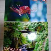 ヒメ日記 2025/11/04 00:14 投稿 速水由香 五十路マダムエクスプレス横浜店（カサブランカグループ）