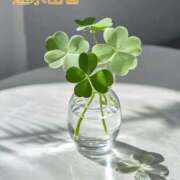 ヒメ日記 2025/11/10 15:10 投稿 速水由香 五十路マダムエクスプレス横浜店（カサブランカグループ）