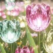 ヒメ日記 2025/11/11 01:26 投稿 速水由香 五十路マダムエクスプレス横浜店（カサブランカグループ）